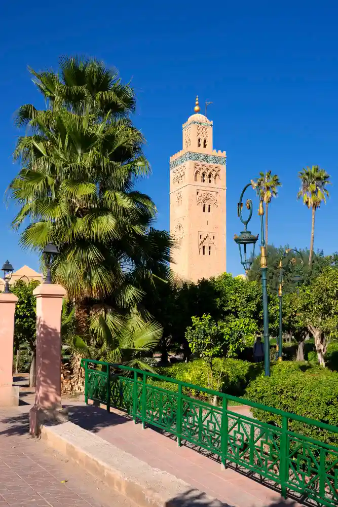 shara morocco
